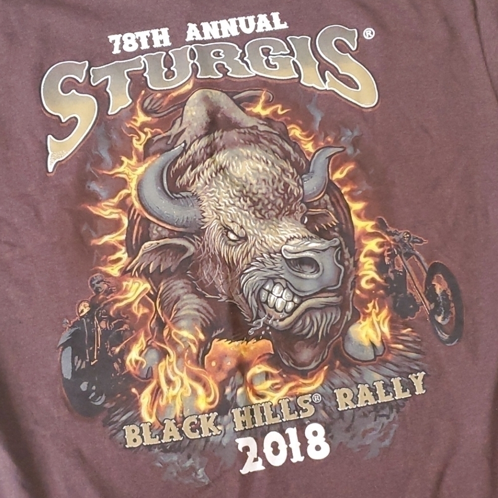 2018 Sturgis Black Hills Rally Tshirt Sz Lrg - Picture 2 of 5